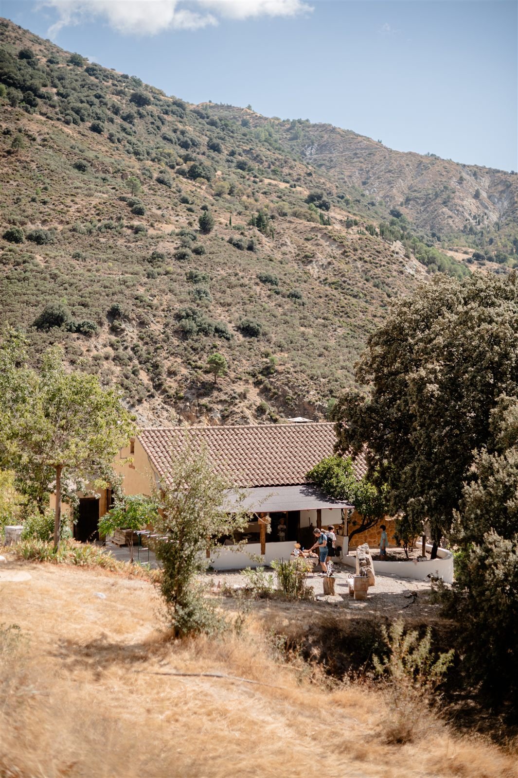 Arraigo del Amor, seen across the terraced vineyard