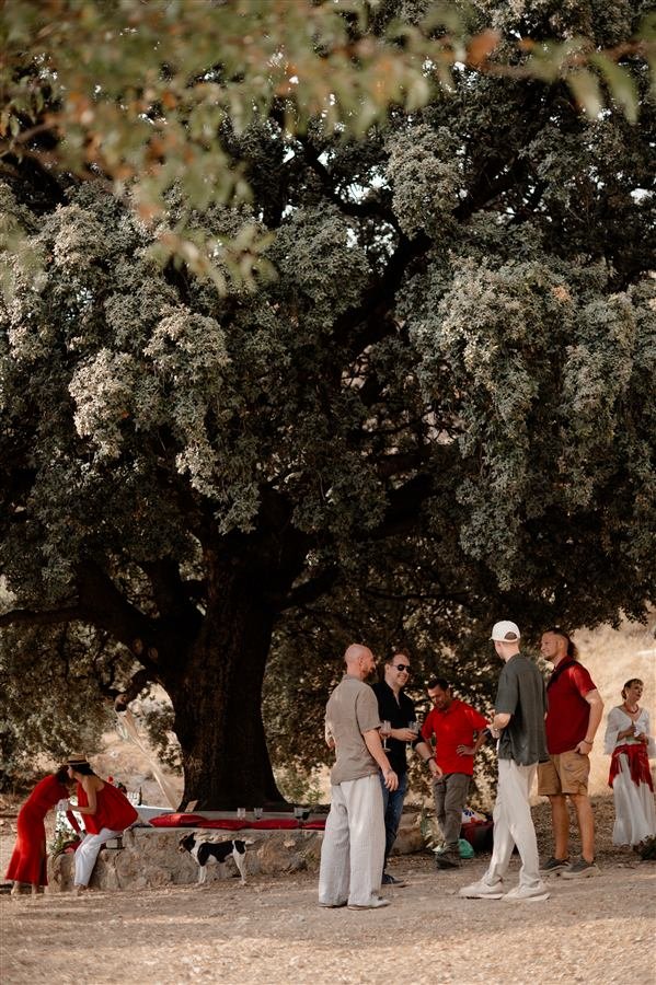Gathered under the old oak tree at Arraigo del Amor