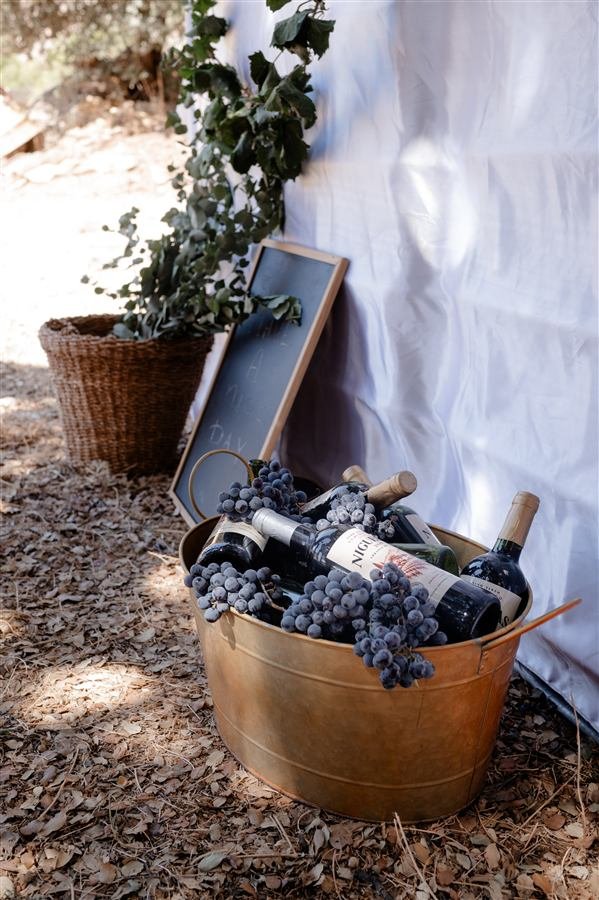 Harvesting and pressing the grapes at Arraigo del Amor