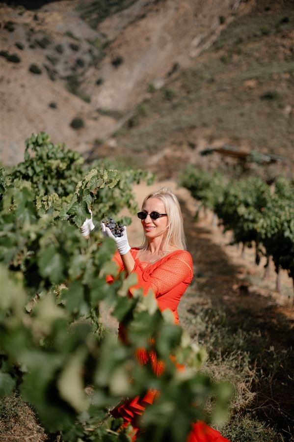 Harvesting and pressing the grapes at Arraigo del Amor