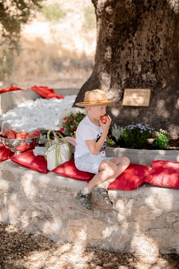 A family afternoon at the vineyard