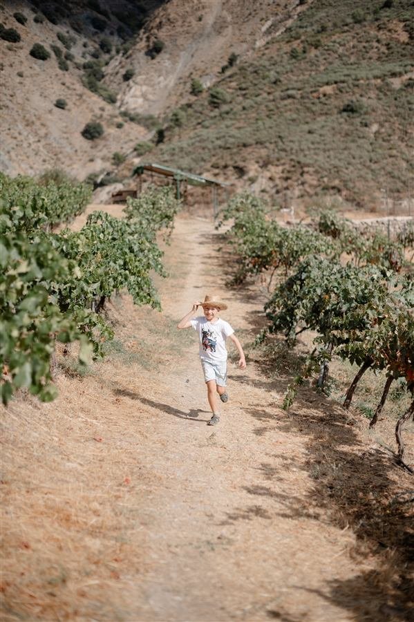 A family afternoon at the vineyard