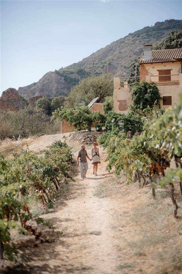 The vineyard and mountains around Arraigo del Amor