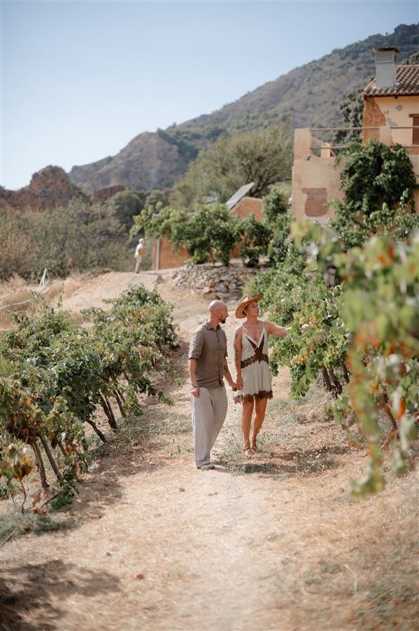 The vineyard and mountains around Arraigo del Amor